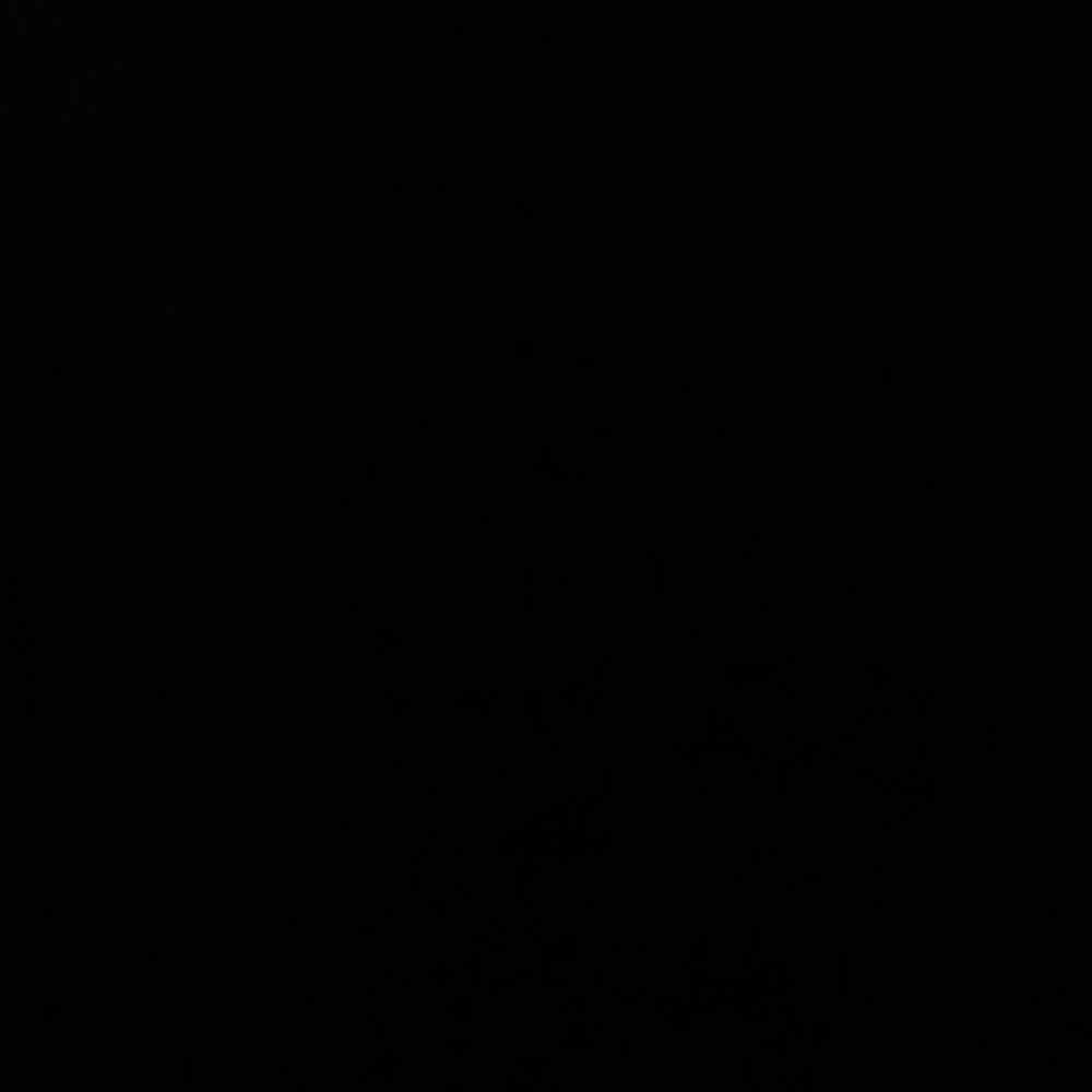 Meet your Posher, Fiza